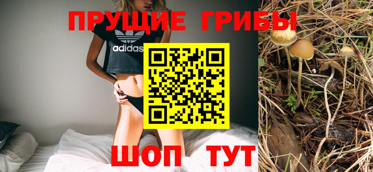 Псилоцибиновые грибы ЛСД Абинск